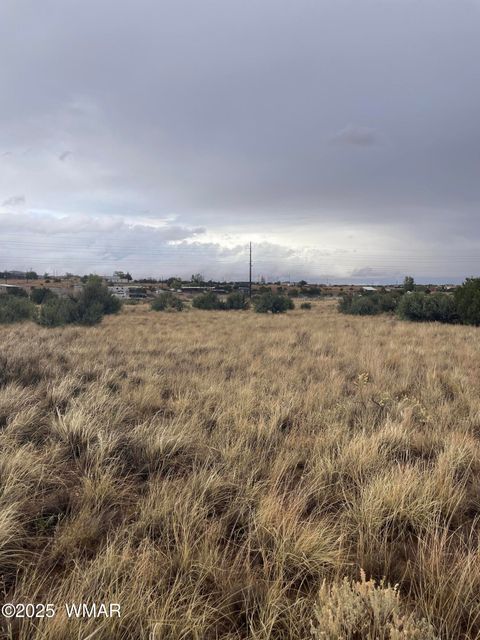 Tiny photo for 5499 State Route 277, Snowflake, AZ 85937 (MLS # 255481)