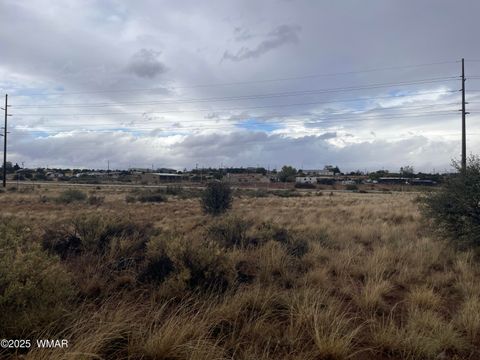Tiny photo for 5499 State Route 277, Snowflake, AZ 85937 (MLS # 255481)