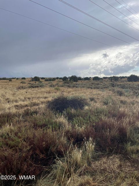 Tiny photo for 5499 State Route 277, Snowflake, AZ 85937 (MLS # 255481)