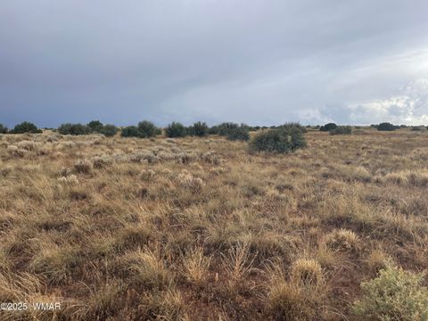 Tiny photo for 5499 State Route 277, Snowflake, AZ 85937 (MLS # 255481)