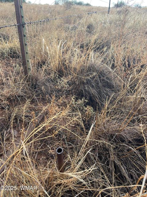 Tiny photo for 5499 State Route 277, Snowflake, AZ 85937 (MLS # 255481)