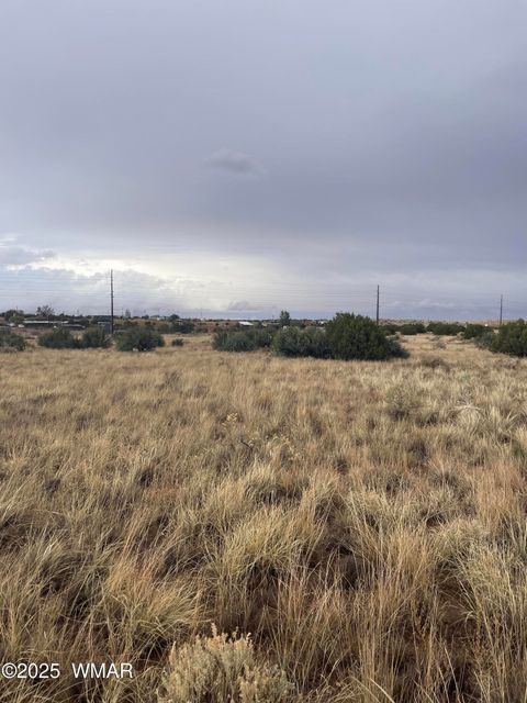 Tiny photo for 5499 State Route 277, Snowflake, AZ 85937 (MLS # 255481)