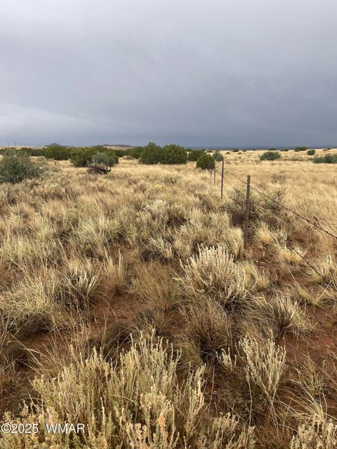 Tiny photo for 5499 State Route 277, Snowflake, AZ 85937 (MLS # 255481)