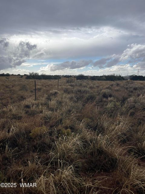 Tiny photo for 5499 State Route 277, Snowflake, AZ 85937 (MLS # 255481)