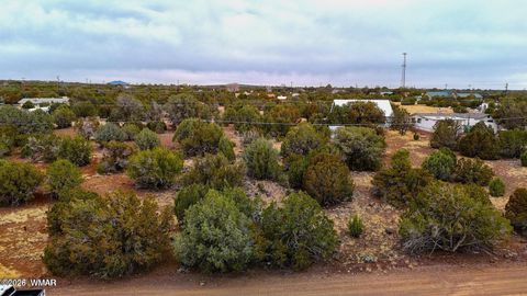 Tiny photo for 8423 Apache Drive, Show Low, AZ 85901 (MLS # 260040)