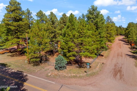 Tiny photo for 2867 Pine Rim Road, Overgaard, AZ 85933 (MLS # 263030)