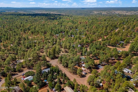 Tiny photo for 2867 Pine Rim Road, Overgaard, AZ 85933 (MLS # 263030)