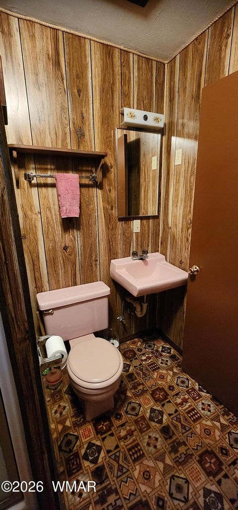 Tiny photo for 3091 AZ-277, Overgaard, AZ 85928 (MLS # 259249)