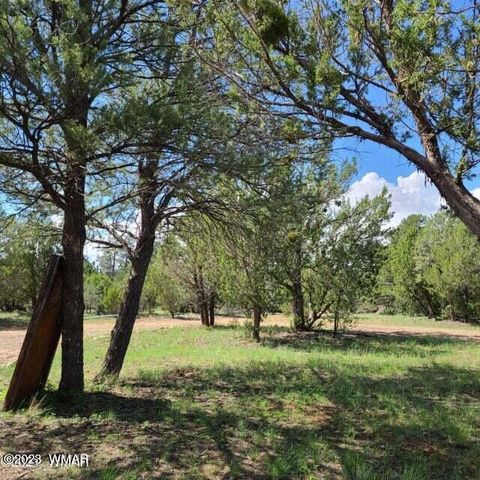 Tiny photo for 3091 AZ-277, Overgaard, AZ 85928 (MLS # 259249)