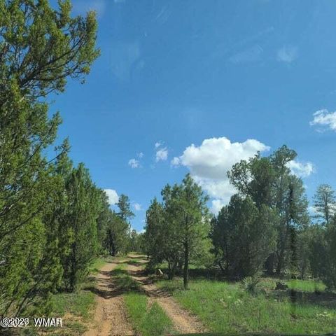 Tiny photo for 3091 AZ-277, Overgaard, AZ 85928 (MLS # 259249)