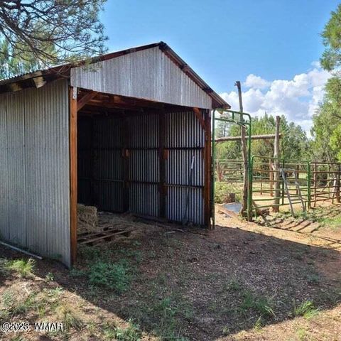 Tiny photo for 3091 AZ-277, Overgaard, AZ 85928 (MLS # 259249)