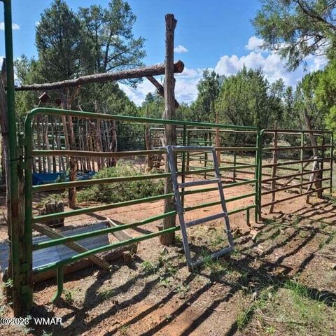 Tiny photo for 3091 AZ-277, Overgaard, AZ 85928 (MLS # 259249)