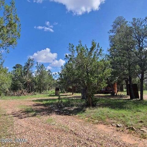 Tiny photo for 3091 AZ-277, Overgaard, AZ 85928 (MLS # 259249)