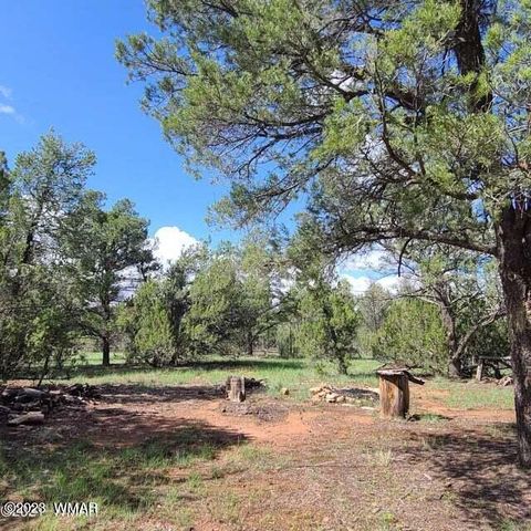 Tiny photo for 3091 AZ-277, Overgaard, AZ 85928 (MLS # 259249)
