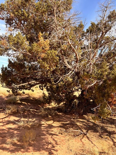 Tiny photo for 8581 SE Lawson LN Lane, Snowflake, AZ 85937 (MLS # 253713)