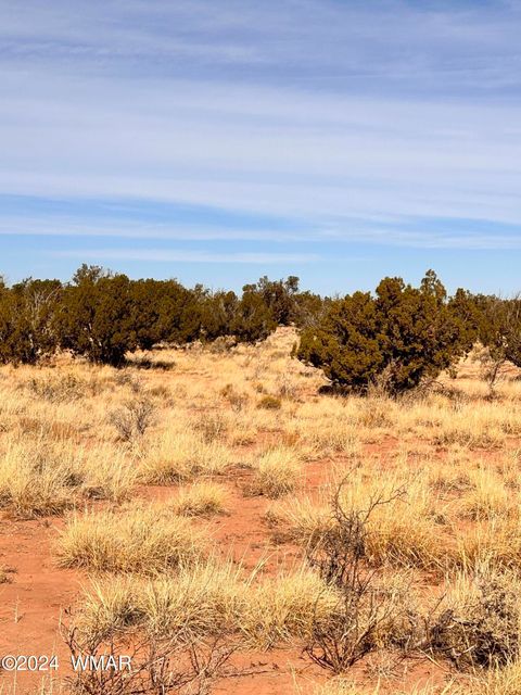 Tiny photo for 8581 SE Lawson LN Lane, Snowflake, AZ 85937 (MLS # 253713)