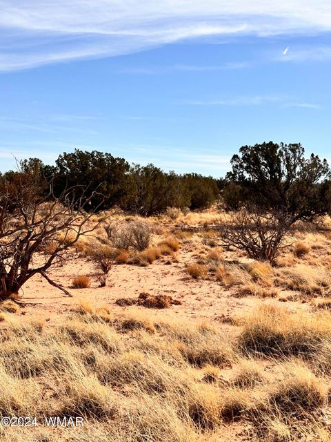 Tiny photo for 8581 SE Lawson LN Lane, Snowflake, AZ 85937 (MLS # 253713)