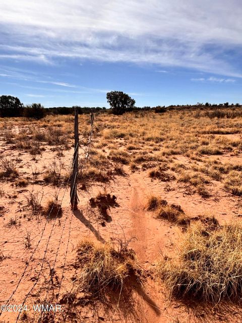 Tiny photo for 8581 SE Lawson LN Lane, Snowflake, AZ 85937 (MLS # 253713)