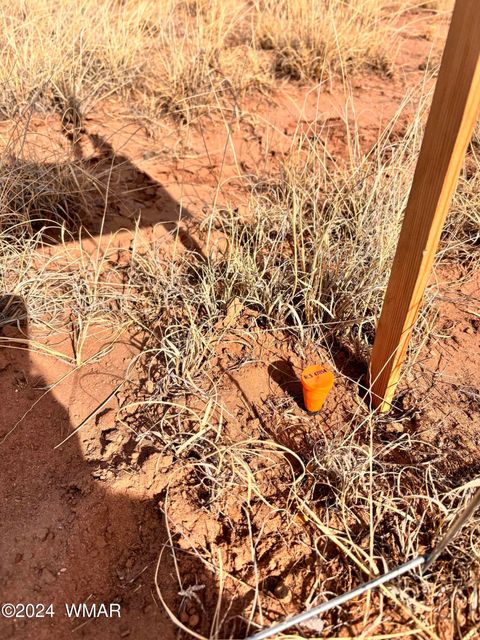 Tiny photo for 8581 SE Lawson LN Lane, Snowflake, AZ 85937 (MLS # 253713)