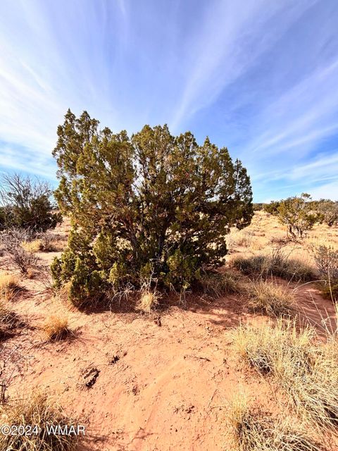 Tiny photo for 8581 SE Lawson LN Lane, Snowflake, AZ 85937 (MLS # 253713)