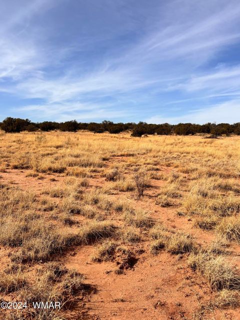 Tiny photo for 8581 SE Lawson LN Lane, Snowflake, AZ 85937 (MLS # 253713)