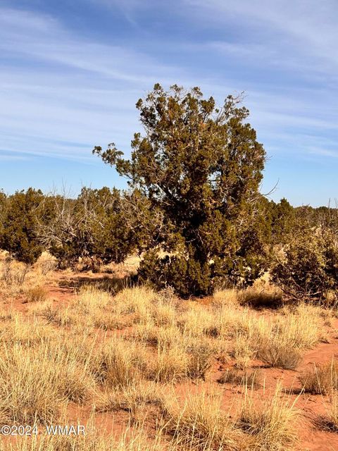 Photo of 8581 SE Lawson LN Lane, Snowflake, AZ 85937 (MLS # 253713)