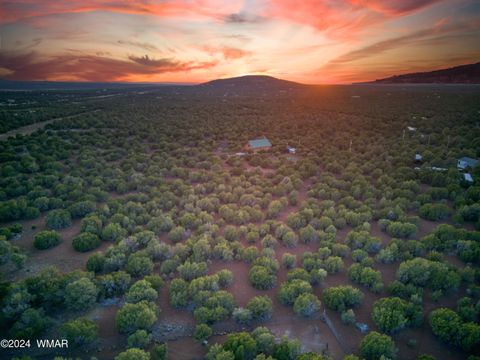 Tiny photo for 104 N 3114, Vernon, AZ 85940 (MLS # 251231)