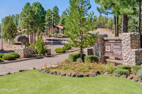 Tiny photo for 1901 N Bison Ridge Trail, Show Low, AZ 85901 (MLS # 261271)