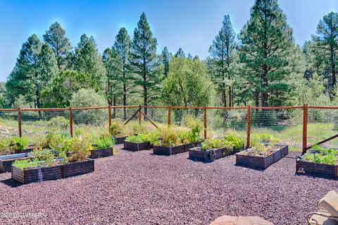 Tiny photo for 1901 N Bison Ridge Trail, Show Low, AZ 85901 (MLS # 261271)