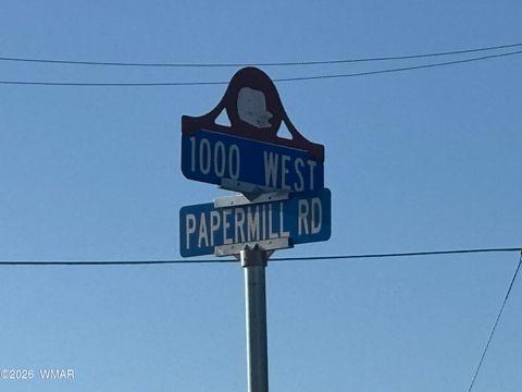 Tiny photo for 331 W 1000 Street, Taylor, AZ 85939 (MLS # 261855)
