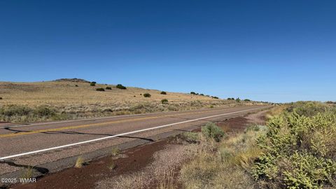 Photo of 0 US Highway 180 #Lot 9C, Concho, AZ 85924 (MLS # 258162)