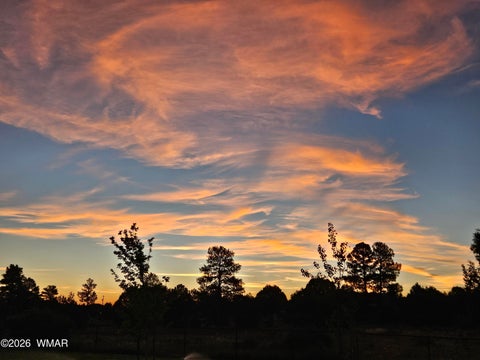 Tiny photo for 6534 Jardin Drive, Show Low, AZ 85901 (MLS # 262660)