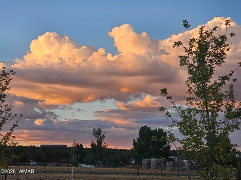 Tiny photo for 6534 Jardin Drive, Show Low, AZ 85901 (MLS # 262660)