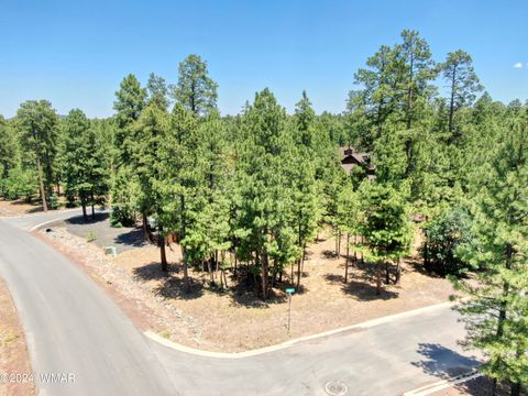 Tiny photo for 5702 Hidden Oak Drive, Pinetop, AZ 85935 (MLS # 251966)