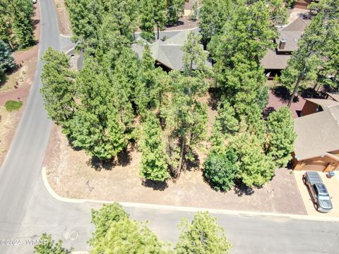 Tiny photo for 5702 Hidden Oak Drive, Pinetop, AZ 85935 (MLS # 251966)