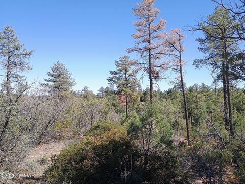 Tiny photo for 7392 Carina Lane, Lakeside, AZ 85929 (MLS # 259090)