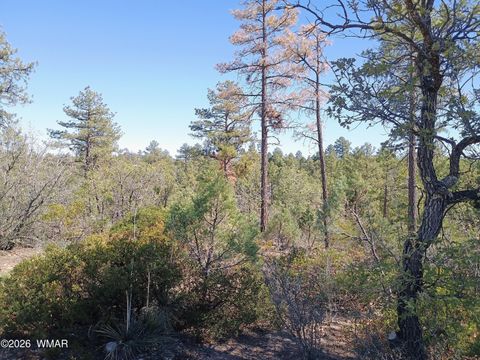 Tiny photo for 7392 Carina Lane, Lakeside, AZ 85929 (MLS # 259090)