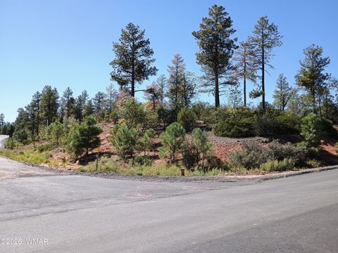 Photo of 7392 Carina Lane, Lakeside, AZ 85929 (MLS # 259090)