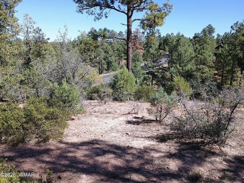 Tiny photo for 7392 Carina Lane, Lakeside, AZ 85929 (MLS # 259090)