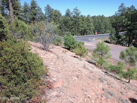 Tiny photo for 7392 Carina Lane, Lakeside, AZ 85929 (MLS # 259090)