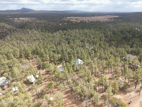 Tiny photo for 2745 S Hidden Oaks Drive, Show Low, AZ 85901 (MLS # 259881)