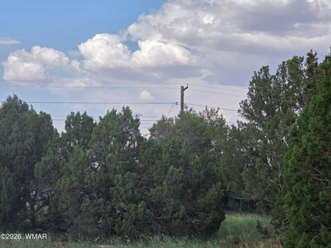 Tiny photo for 8442 Cochise Circle, Show Low, AZ 85901 (MLS # 262682)