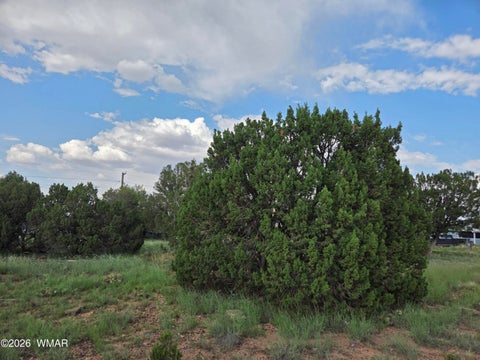 Tiny photo for 8442 Cochise Circle, Show Low, AZ 85901 (MLS # 262682)