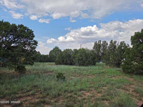 Photo of 8442 Cochise Circle, Show Low, AZ 85901 (MLS # 262682)