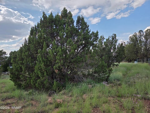 Tiny photo for 8442 Cochise Circle, Show Low, AZ 85901 (MLS # 262682)