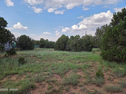 Tiny photo for 8442 Cochise Circle, Show Low, AZ 85901 (MLS # 262682)
