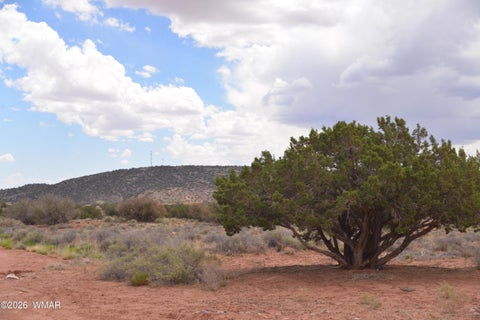 Tiny photo for 4582 El Dorado Road, Snowflake, AZ 85937 (MLS # 261795)