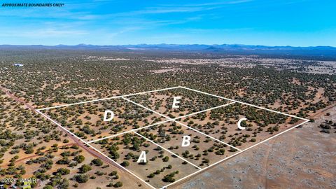 Tiny photo for 9023 Appaloosa Trl (Lot A) 5 Acres Trl, Show Low, AZ 85901 (MLS # 260382)