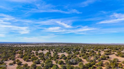 Tiny photo for 9023 Appaloosa Trl (Lot A) 5 Acres Trl, Show Low, AZ 85901 (MLS # 260382)