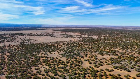 Tiny photo for 9023 Appaloosa Trl (Lot A) 5 Acres Trl, Show Low, AZ 85901 (MLS # 260382)